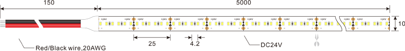 2216 240leds 12v tira led dimensão