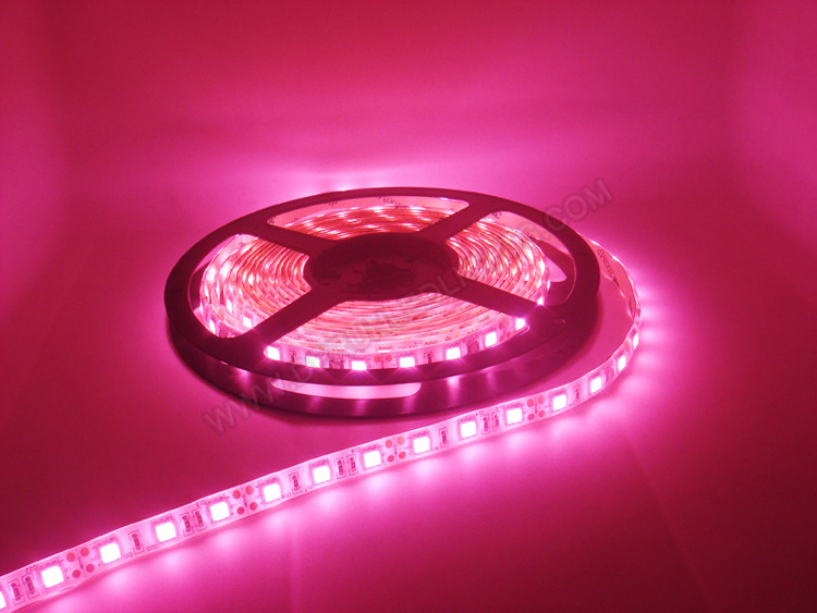 цвет подсветки розовый. светодиодный неон rgb 220v led neon flex. светодиодная лента rgb 5050 розовая. фиолетовый неон. цвет подсветки розовый.