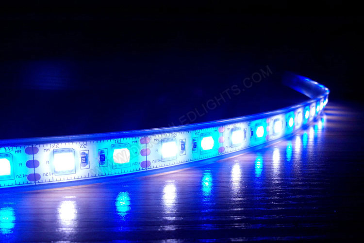 blue and white double color led strip lights - Double Color LED Strip Light