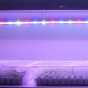 La luz de cultivo de tira LED está siendo una tendencia en el desarrollo de plantas y jardinería.