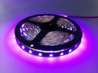 UV-LED-Streifen Schwarzlicht 395 nm 12 V 5050 UV-LED-Streifen - DERUN LED