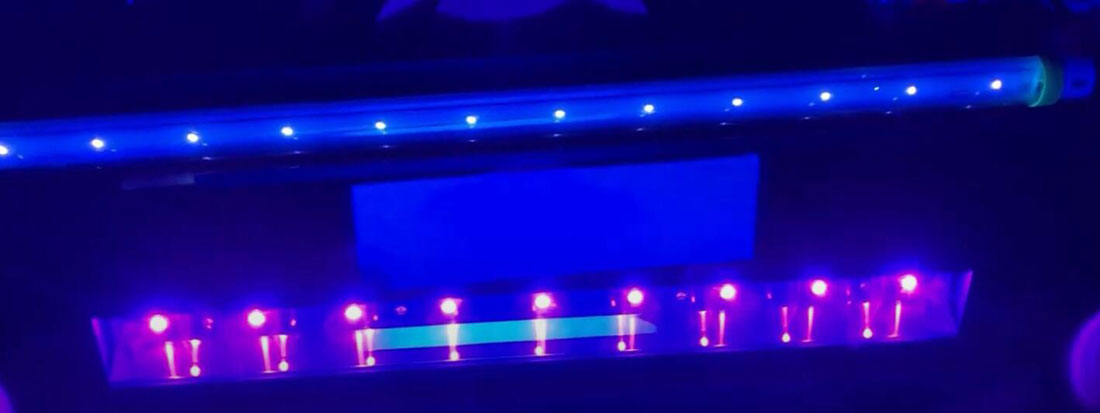 UV LED ストリップ ライト 1 - フレキシブル LED ストリップ ライト
