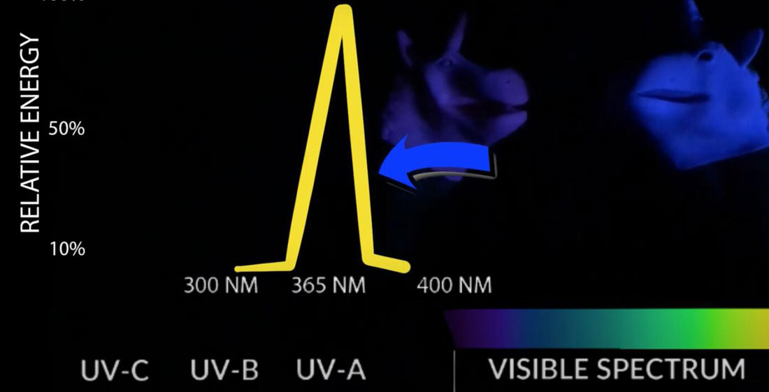 UV LED ストリップ ライト 5 - フレキシブル LED ストリップ ライト