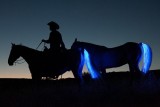 Feux de queue de cheval à LED 160x107 - Guide d'application des bandes lumineuses à LED