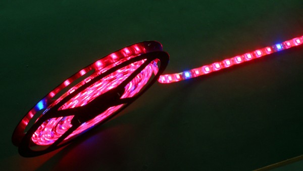 led odlingslampa 600x338 - LED Strip Lights Applikationsguide