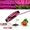מלאך השמש: רצועת LED לגידול צמחים