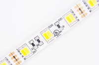 CCT Adjustable Flexible LED Strip Light with 16.4’ 72W 300 CCT Diodes 5050