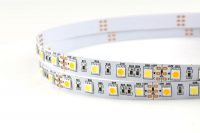 흰색 및 따뜻한 흰색 CCT 조정 가능한 유연한 LED 스트립 조명