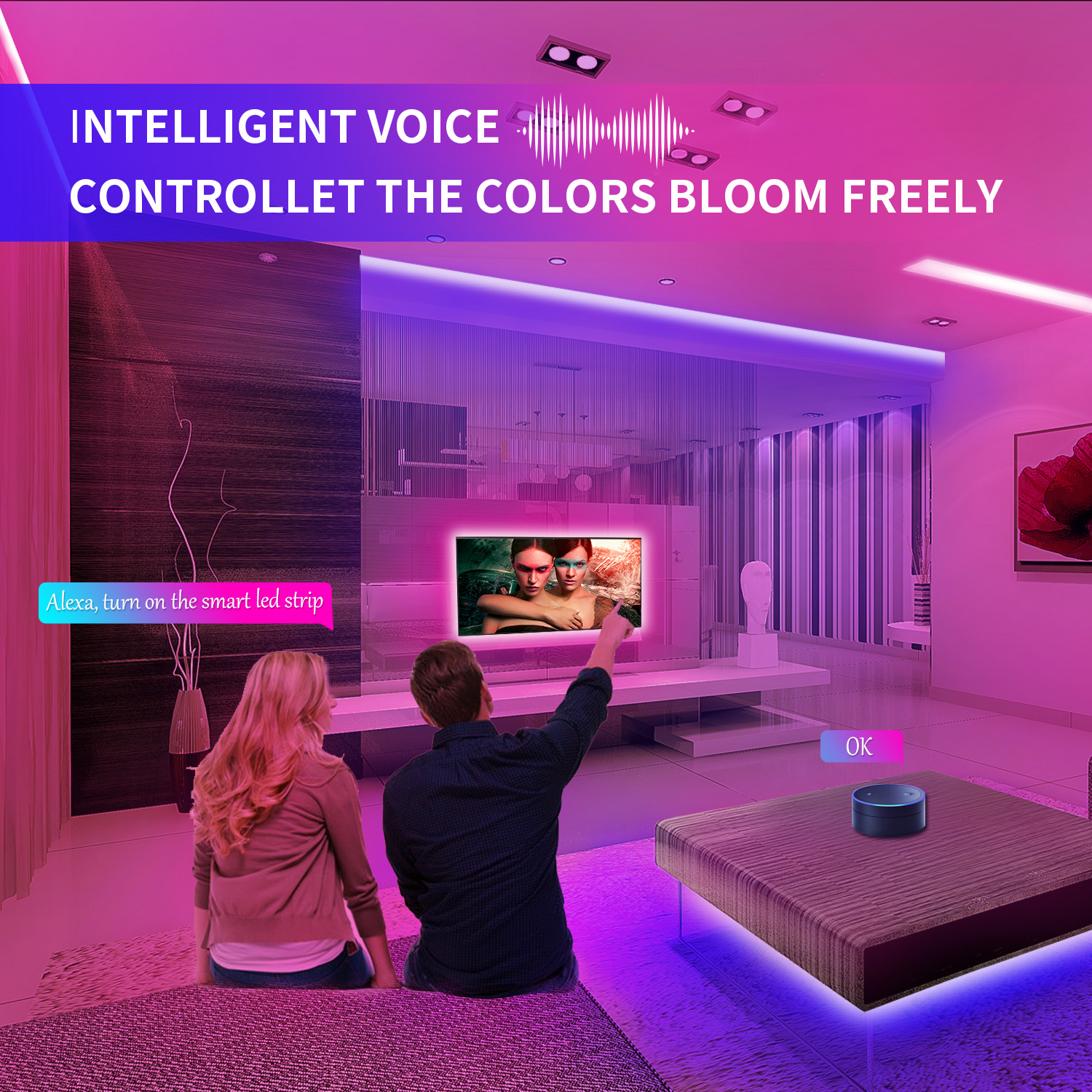 يمكن التحكم في مجموعة أضواء الشريط الذكية 5050 RGB Dream Color LED مع تطبيق الهاتف الموسيقى Alexa Google Home Voice أو 40keys Remote 14 - أضواء شريط LED قابلة للعنونة