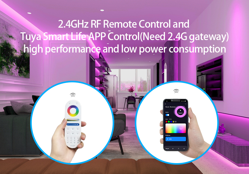 C03RFC04RFC05RF 2.4GHz RF Single ColorDual White LED Controller 3 - 2.4GHz RF Smart Controller